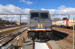Fronten af Hector Rail 241.008. Søndag  3. marts 2013, Padborg