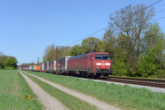 DBCS EG 3104